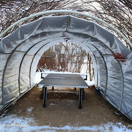 Apartament Forest Мислаковіце Екстер'єр фото