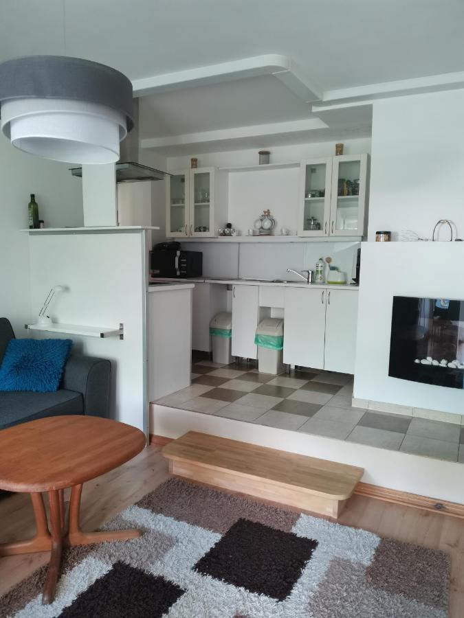 Apartament Forest Мислаковіце Екстер'єр фото