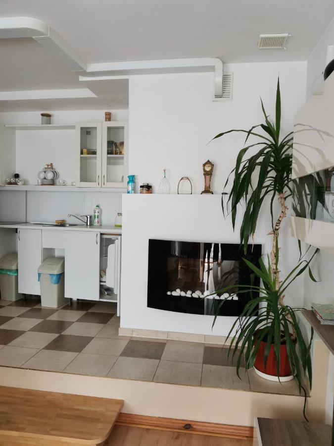 Apartament Forest Мислаковіце Екстер'єр фото