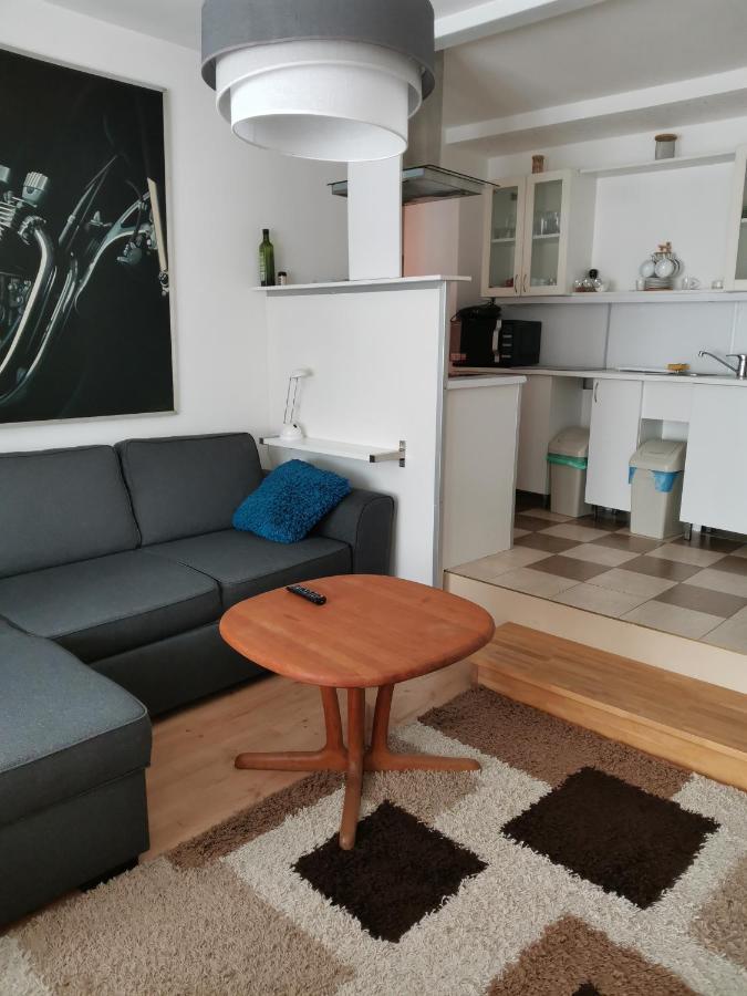 Apartament Forest Мислаковіце Екстер'єр фото