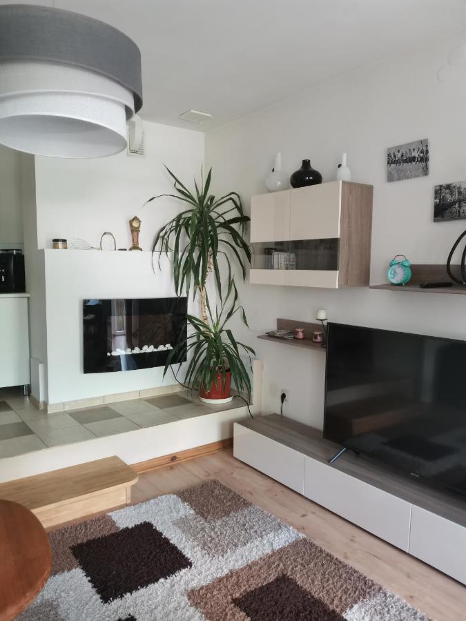 Apartament Forest Мислаковіце Екстер'єр фото