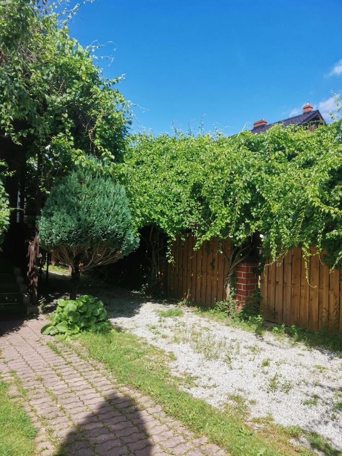 Apartament Forest Мислаковіце Екстер'єр фото