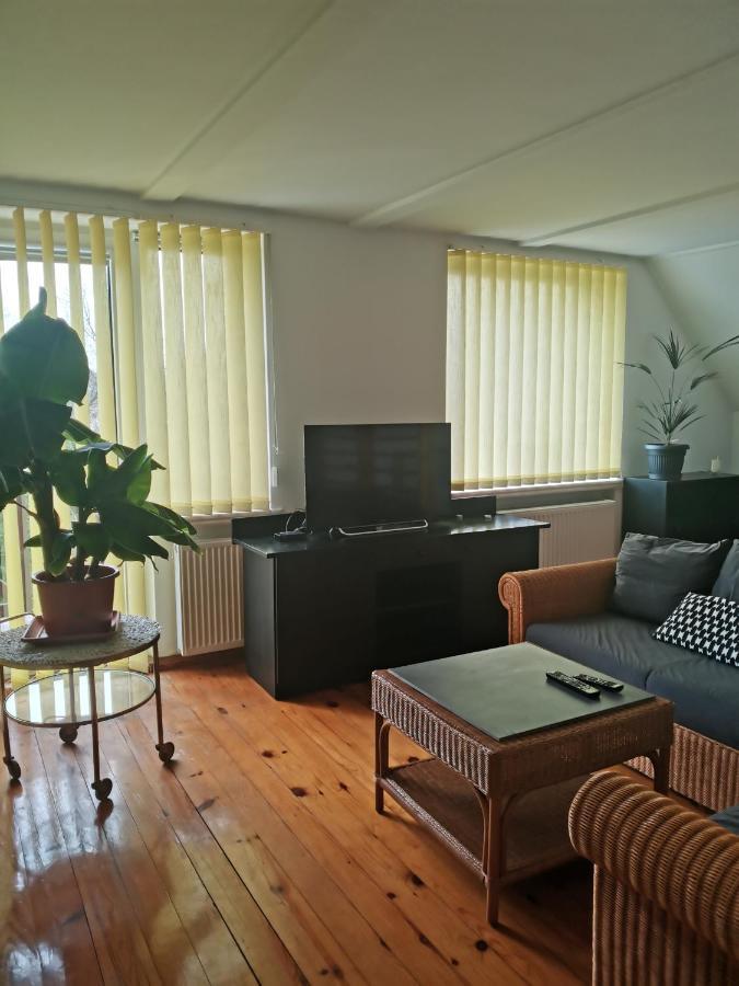 Apartament Forest Мислаковіце Екстер'єр фото